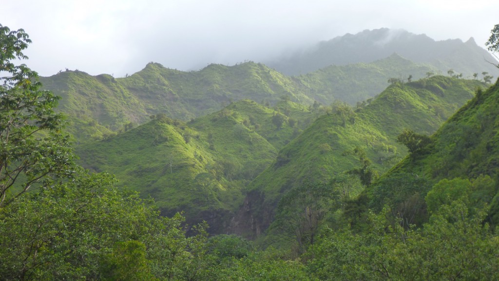 Hanalei River basin on the north side of the Hawaiian island of Kauai.