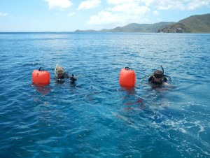 Mooney and Kaplan (shown) conducted a second study about small-vessel noise and the influence this might have on coastal habitats. They have also already begun a larger version of the Virgin Islands study in Hawaii. They will monitor sound for 15 months in eight sites, with coral coverage ranging from 85 percent to almost none. (Photo by Samantha Zacarias, Woods Hole Oceanographic Institution)