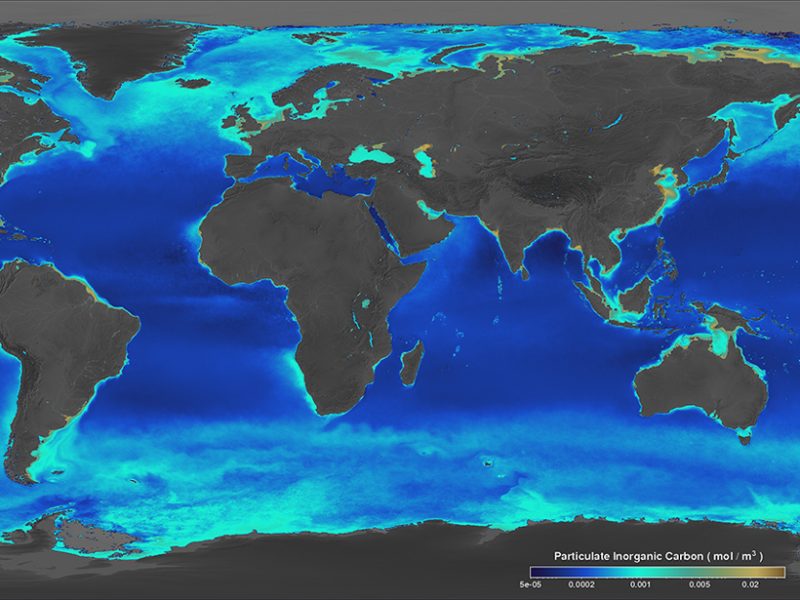 The Great Calcite Belt appears as a bright ring around Antarctica as a result of dense algae populations. (Credit: NASA Goddard Space Flight Center)