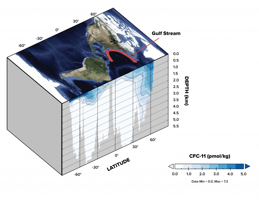 The red line on the map shows the Gulf Stream current, the surface portion of the Atlantic Meridional Overturning Circulation. Shown in shades of blue are the concentrations of CFCs at depth in the ocean. Nearer to the equator, the CFCs only occur at the surface. As the Gulf Stream current moves north, they begin to be drawn down to depth with the downward pull of the conveyor belt.
 (Credit: NASA /Jenny Hottle)