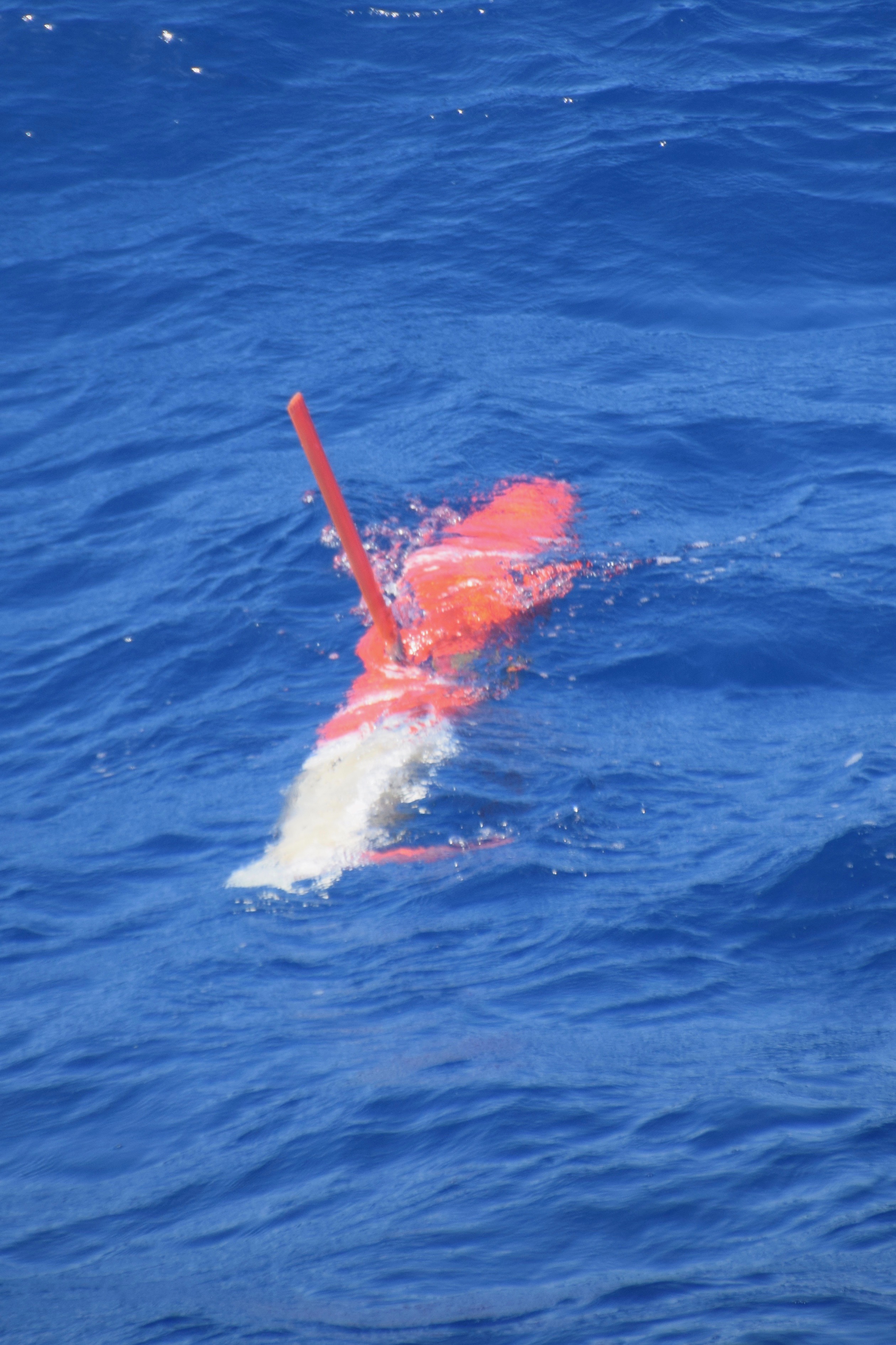 Our glider transmitting data via satellite using the antenna in its wing. (Photo: Joleen Heiderich, MIT/WHOI Joint Program)